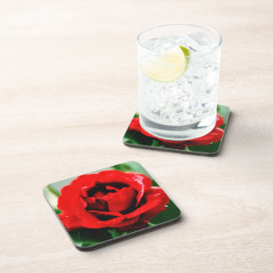 Red Rose Love Square Coaster