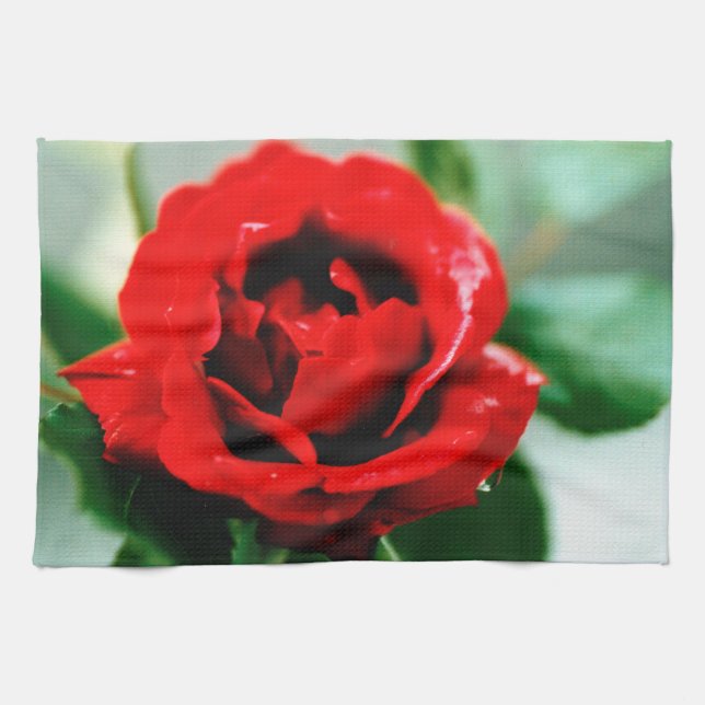 Red Rose Love  Tea Towel (Horizontal)