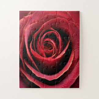 Red Rose Macro Close-Up Jigsaw Puzzle