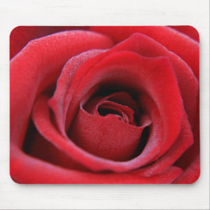 Red Rose Mouse Pad