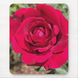 Red Rose Mouse Pad