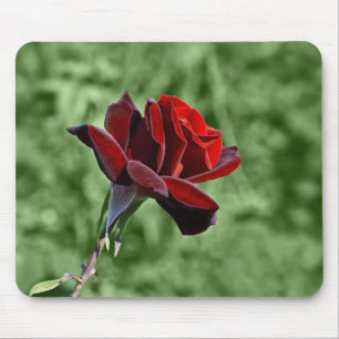 Red Rose Mousepad