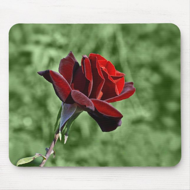 Red Rose Mousepad (Front)