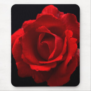 Red Rose mpcn Mouse Pad