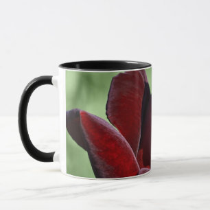 Red Rose Mug