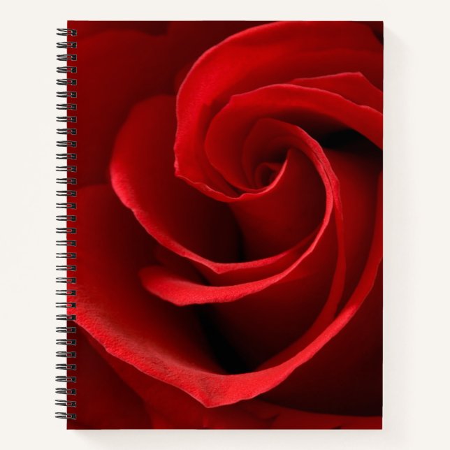 Red Rose Notebook (Front)