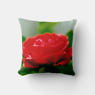 Red Rose of passion covered with dew drops Cushion