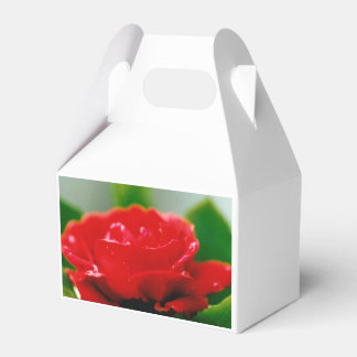 Red Rose of passion covered with dew drops Favour Box