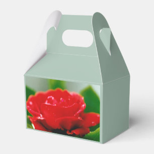 Red Rose of passion covered with dew drops Favour Box