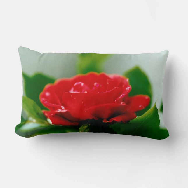 Red Rose of passion covered with dew drops   Lumbar Cushion (Front)