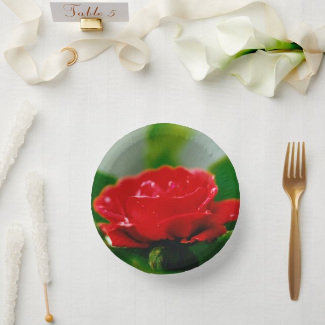 Red Rose of passion covered with dew drops   Paper Plate (Wedding)