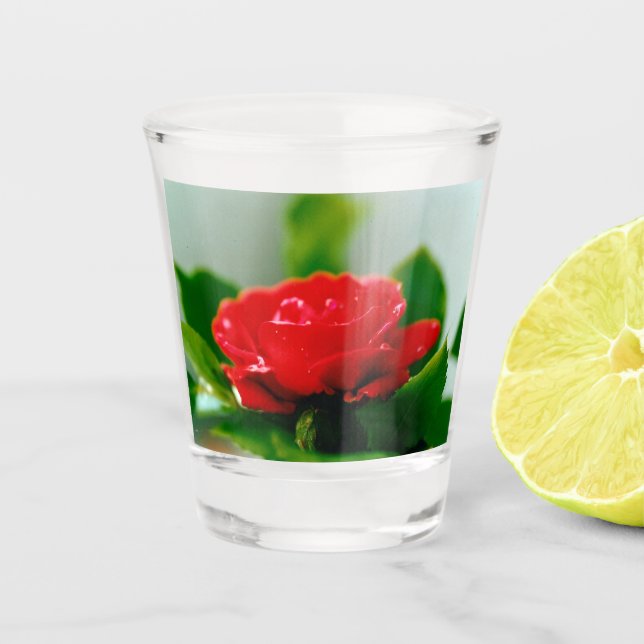 Red Rose of passion covered with dew drops  Shot Glass (Front)