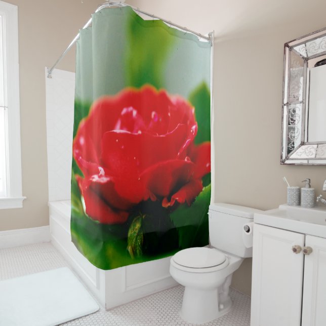 Red Rose of passion covered with dew drops  Shower Curtain (In Situ)