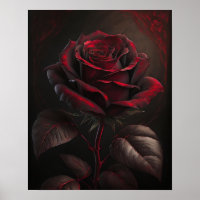 Red rose on a dark background