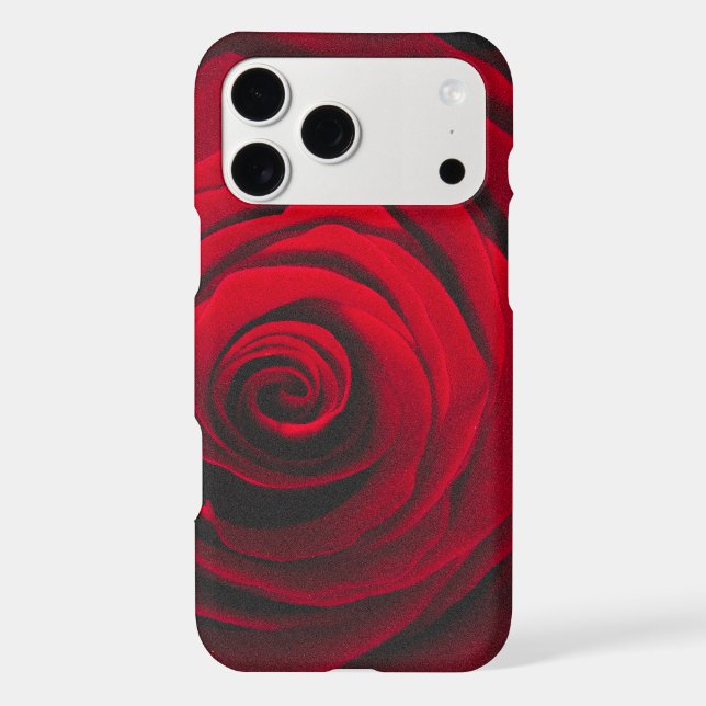 Red rose on black background vintage effect (Back)