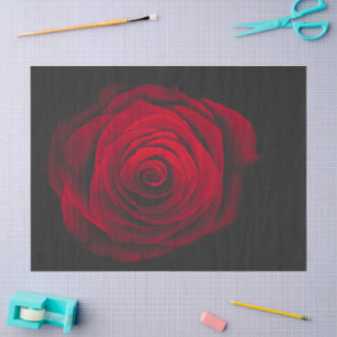 Red rose on black background vintage effect tissue paper