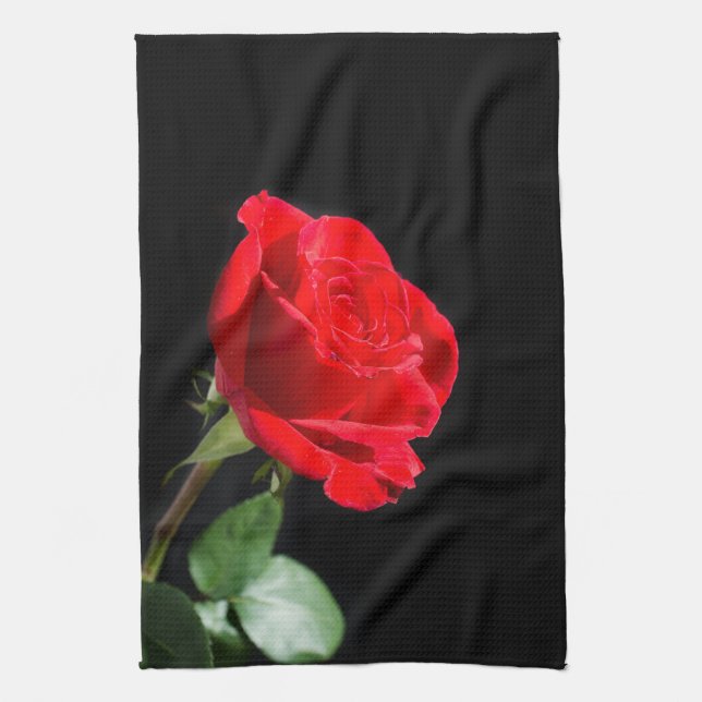 Red rose on black tea towel (Vertical)