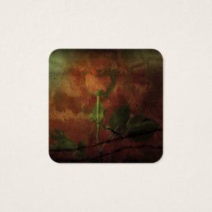 Red rose on grunge background