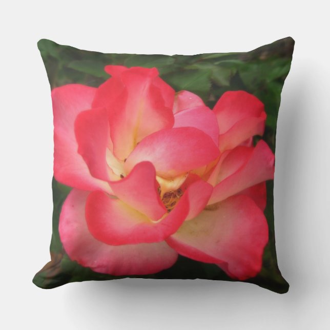 Red Rose Outdoor Throw Pillow (Front)