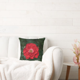 Red Rose P6568 Cushion