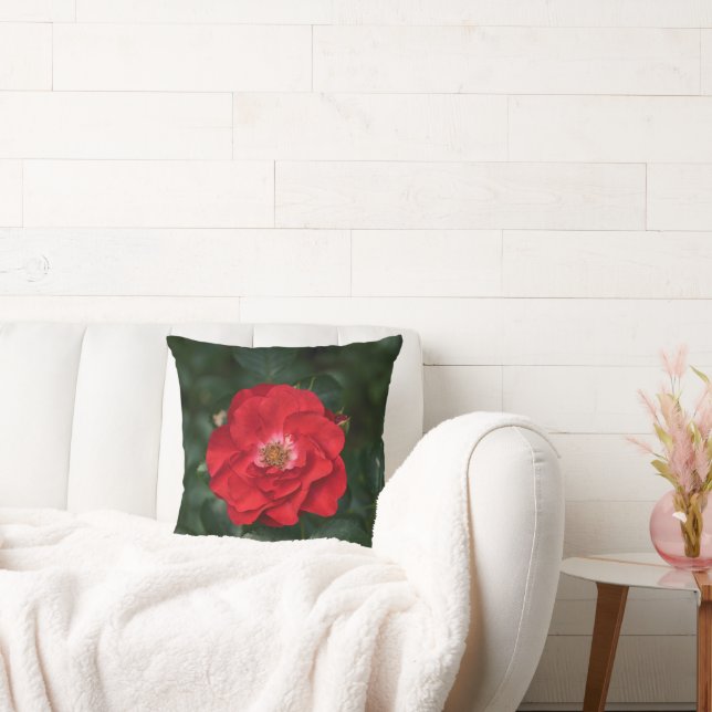 Red Rose P6568 Cushion (Couch)