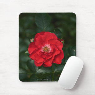Red Rose P6568 Mouse Pad