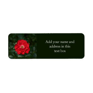 Red Rose P6568 Return Address Label