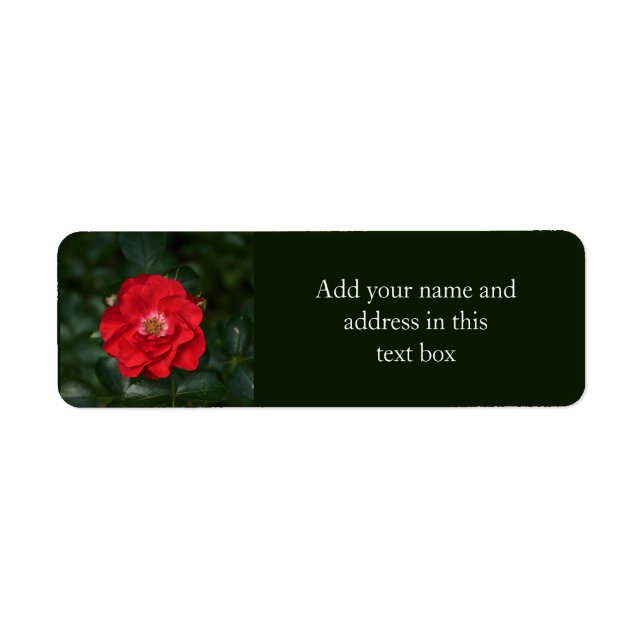 Red Rose P6568 Return Address Label (Front)