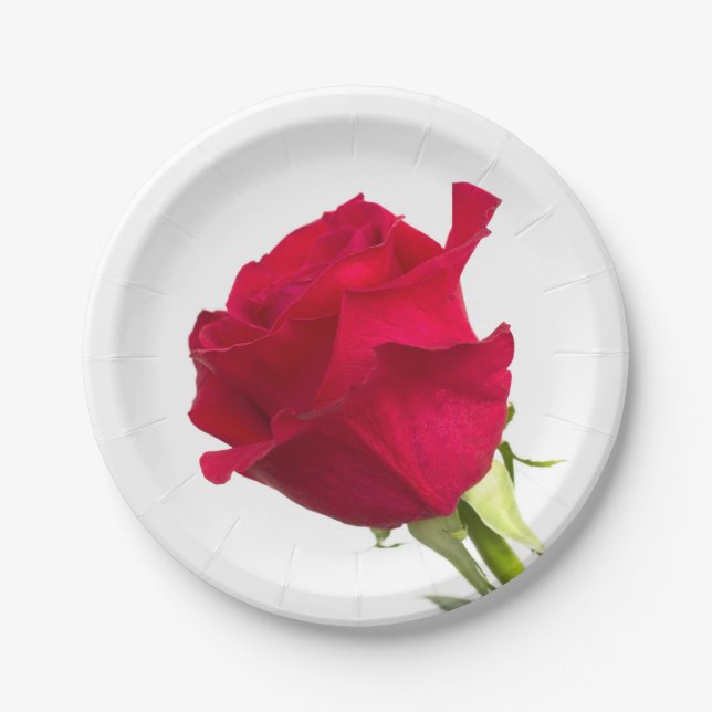 Red rose paper plate (Front)