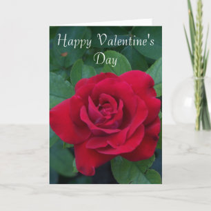 Red Rose Photo Holiday Card