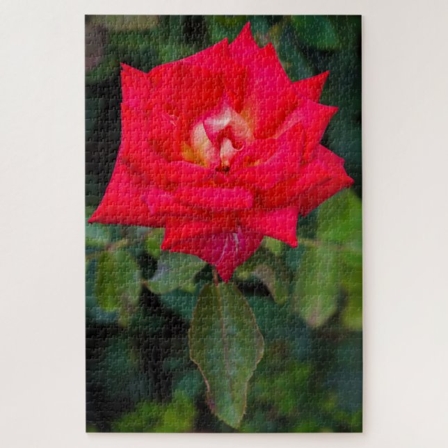 Red Rose Photo Jigsaw Puzzle (Vertical)