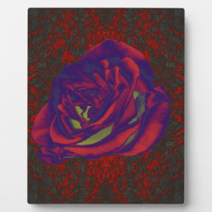 Red Rose Photo Plaque