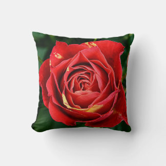 Red Rose Photography Cushion