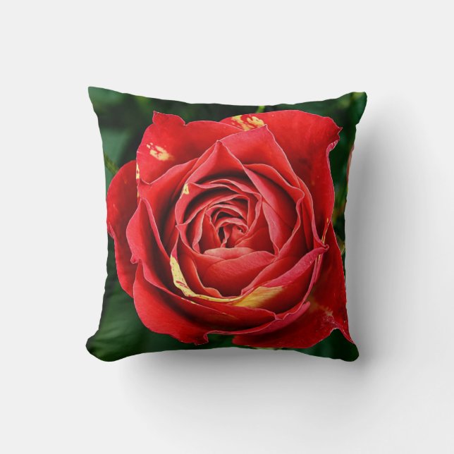 Red Rose Photography  Cushion (Front)