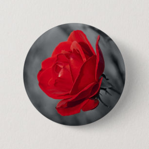 Red Rose Pin
