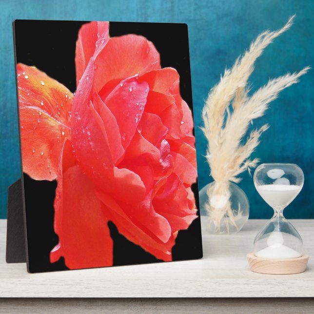 Red Rose Plaque (Side)