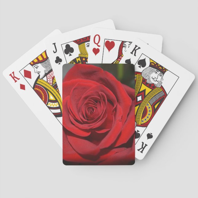 Red Rose Playing Cards (Back)
