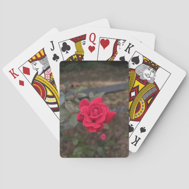 Red Rose Playing Cards (Back)
