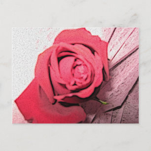 Red Rose Postcard