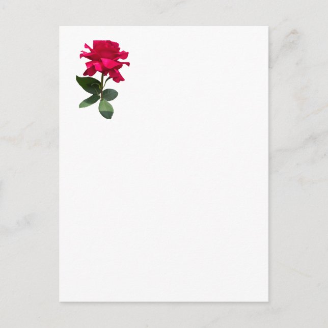 Red rose postcard (Front)