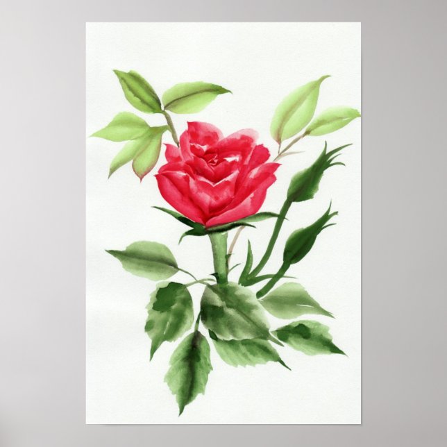Red Rose Poster (Front)