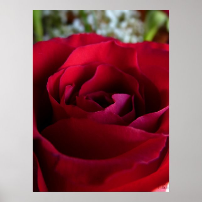Red Rose Poster Print Beautiful Flower Art Print (Front)