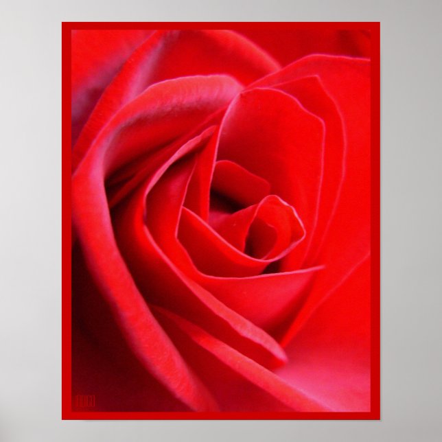 Red Rose Poster Print Beautiful Flower Art Print (Front)