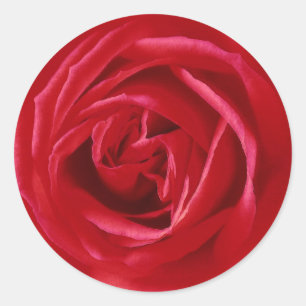 Red rose print classic round sticker