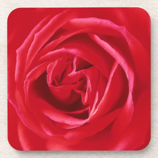 Red rose print coaster (Front)