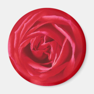 Red rose print magnet