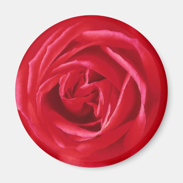 Red rose print magnet (Front)