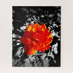 Red rose Puzzle