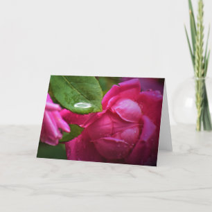 Red Rose & Raindrops, card