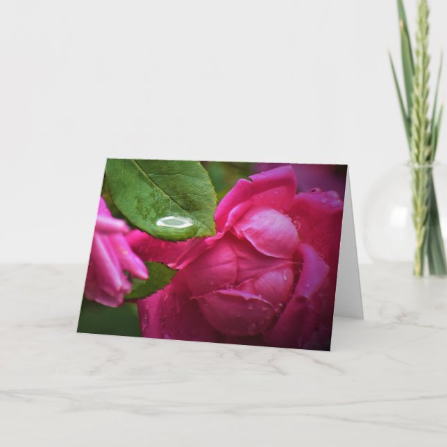Red Rose & Raindrops, card (Front)